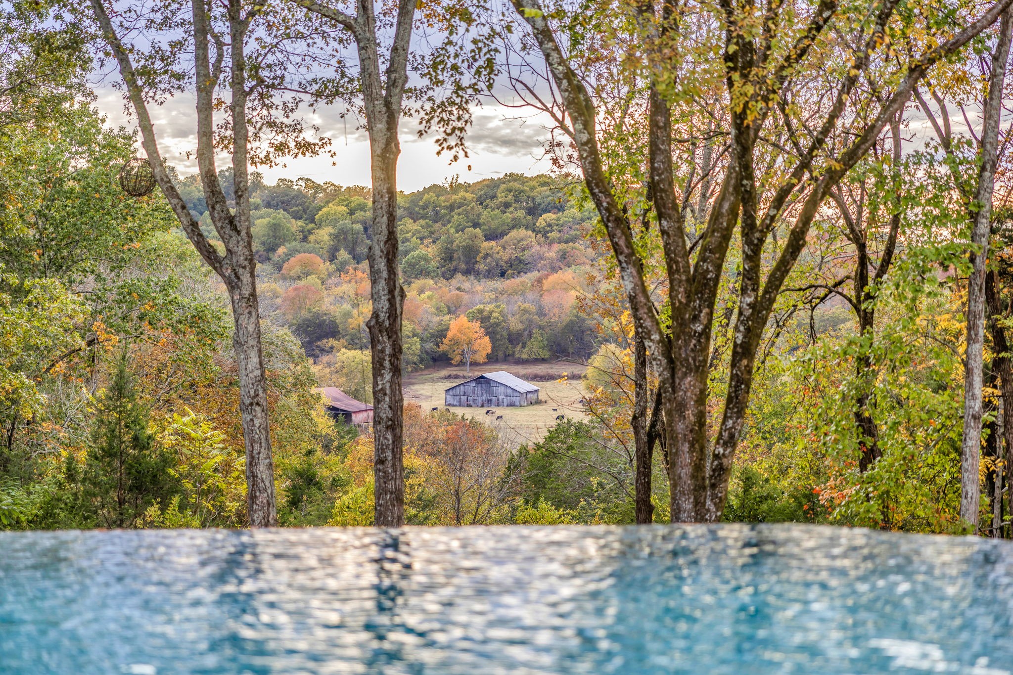 998 Dickinson Ln Franklin, TN 37069